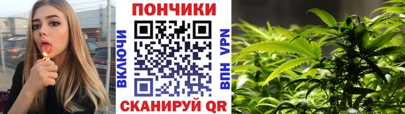 Марихуана сатива  Городец 